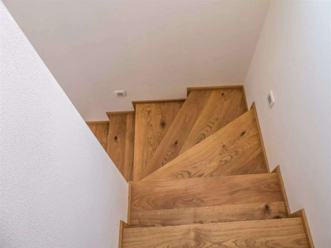 Zavite hrastove stopnice, gledane od zgoraj.